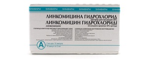 Điều gì giúp lincomycin