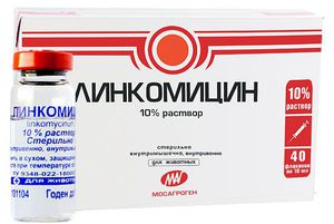 Cách sử dụng thuốc lincomycin