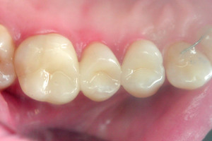 Cấu trúc và đặc điểm của con người