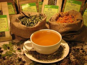 Bài thuốc dân gian chống u nang